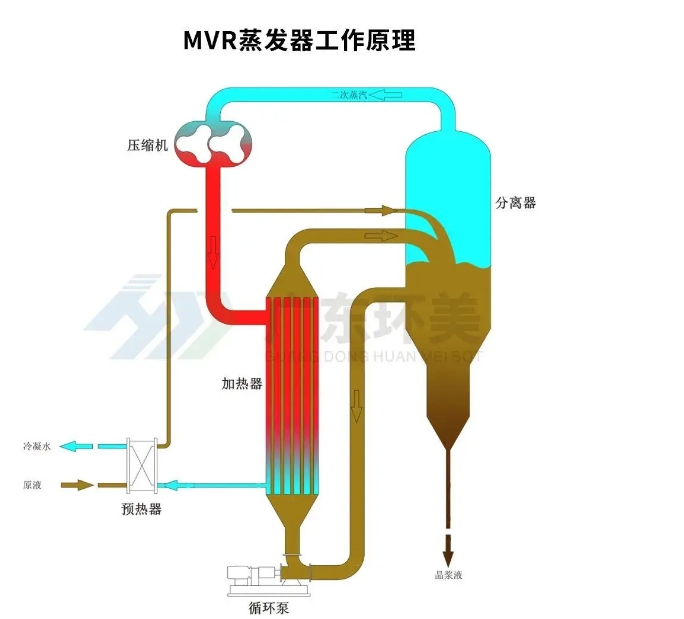 MVR蒸發(fā)器 MVR蒸發(fā)器