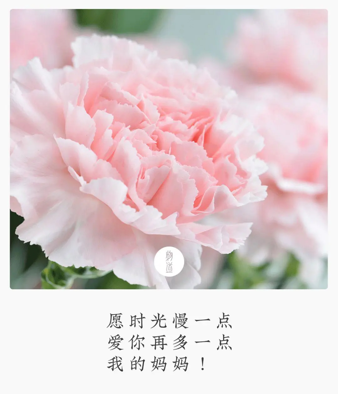 MVR蒸發(fā)系統(tǒng) MVR蒸發(fā)系統(tǒng)