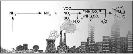 MVR/多效蒸發(fā)系統(tǒng) MVR/多效蒸發(fā)系統(tǒng)